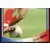 SuperFoot 2003-04 - Zinedine Zidane (puzzle 3)
