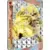 XY-P - XY Promos - Arcanine BREAK
