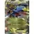 Garchomp EX