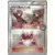 Team Magma Grunt