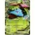 Venusaur EX