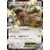 XY2 - Wild Blaze - Kangaskhan EX