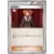 Lysandre