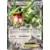 Rayquaza EX