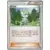 XY6 - Emerald Break - Wally