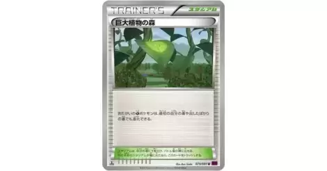 Giant Plant Forest Xy7 Bandit Ring Card Xy7 079 081