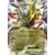 Giratina EX