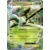 XY7 - Bandit Ring - Sceptile EX