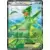 Sceptile EX