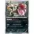 Zoroark