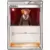 XYA - M Charizard EX Mega Battle Deck - Lysandre