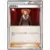 Lysandre