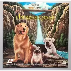 L'Incroyable voyage