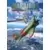 Polikarpov I-16 - la mouche de Moscou