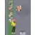 Chick Bill - L\'Intégrale - L\'Intégrale n°18