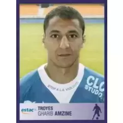 Gharib Amzine - Troyes