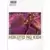 Hokuto no Ken - Ultimate - Tome 1