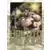 Hokuto no Ken - Ultimate - Tome 8