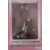 Statues Banpresto - Dizzy