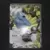 Thundurus