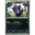 Zorua