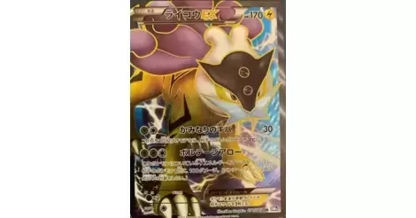 Raikou EX Dark Rush, Pokémon