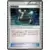 Exp. Share