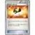 Ultra Ball