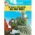 Le train le plus rapide du Far West