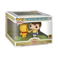 Winnie the Pooh - Christopher Robin With Pooh