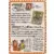 Vending Machine Card Series 3 Green - Imakuni?\'s Corner