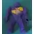 Lego Castle Minifigures - Knights Kingdom II - Nestle Promo Figure Danju with Wolf Pattern (Sticker)
