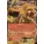Cartes Pokemon Jumbo XXL - XY - Dracaufeu EX - Jumbo