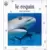 Mini Patte - Milan Jeunesse - Le Requin : Tueur silencieux