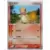 ADV-P - Promotional cards - Charmander