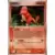 Holon Research Tower Fire Quarter Deck - Ditto [Charmander]