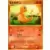 Intense Fight in the Destroyed Sky - Charmander