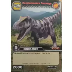 Dasplétosaure Sauvage