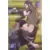 Naruto Shippuden - Hokage trading card collection (2022) - Shikamaru & Asuma