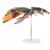 McFarlane - Avatar - Skimwing