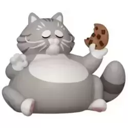 Cookie The Cat