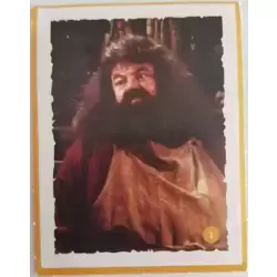 Rubeus Hagrid