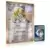 Autres Cartes Pokemon Jumbo XXL - Regigigas - Jumbo