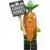 Carrot Mascot