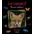 Le Renard Chasseur Malicieux
