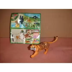 Tigre