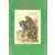Roquet - Une fameuse trompe d\'incendie