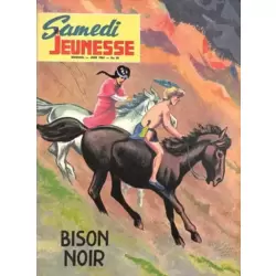 Bison noir (Corentin)