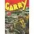Sergent Garry - Entre de bonnes mains
