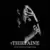 Thiéfaine - Homo Plebis Ultimae Tour